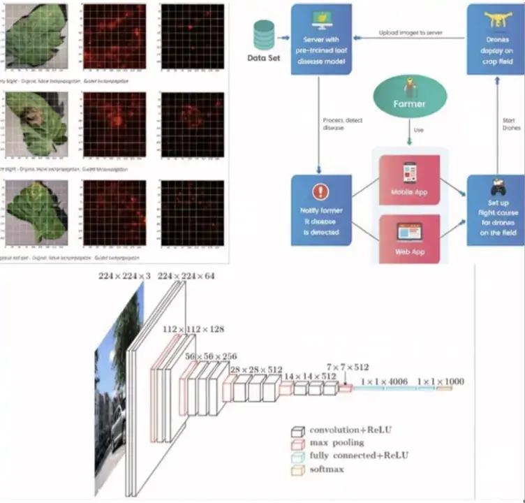 TMA Solutions TMA's Tree Disease Detection